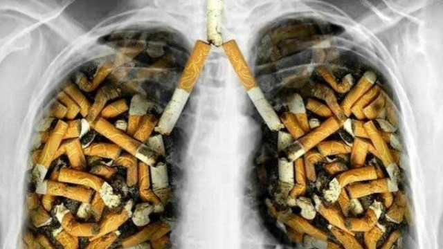 5 Tips Cara Berhenti Merokok, Biasakan Dengan Hal Ini!