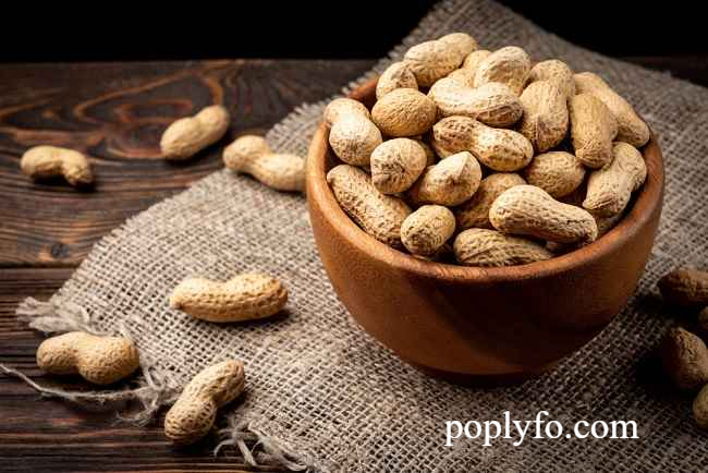 Manfaat Kacang-kacangan untuk Tubuh